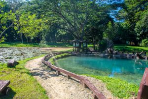 บ่อน้ำร้อนห้วยหมากเลี่ยม @อุทยานแห่งชาติลำน้ำกก &ndash; เชียงรายโฟกัสดอทคอม  สังคมออนไลน์ของคนเชียงราย
