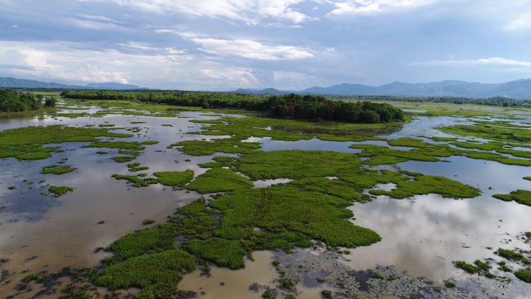 เกาะแม่หม้าย – เชียงรายโฟกัสดอทคอม สังคมออนไลน์ของคนเชียงราย