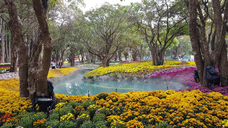 สวนไม้งามริมน้ำกก – เชียงรายโฟกัสดอทคอม สังคมออนไลน์ของคนเชียงราย